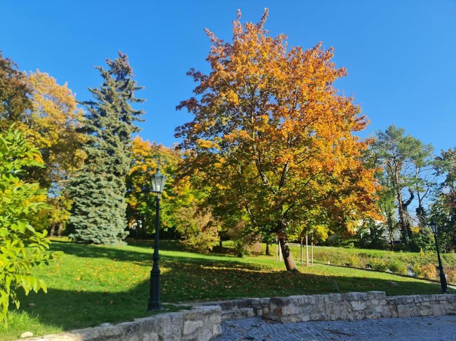 Appartements In Schoner Burganlage Йена Екстериор снимка